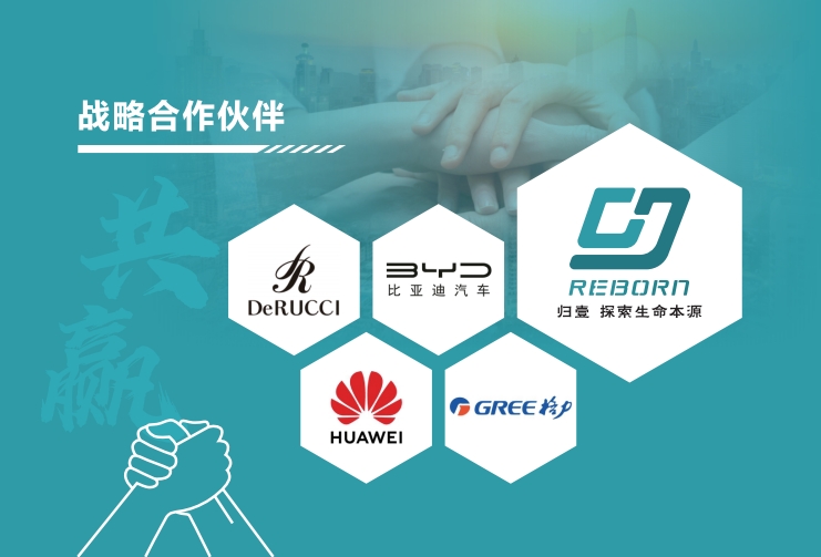 战略合作伙伴